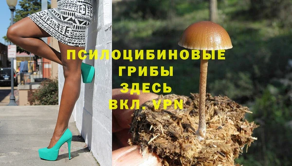 гашик Киренск