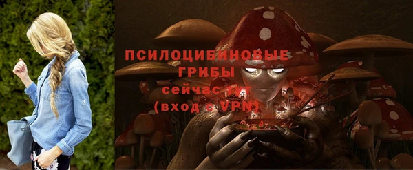 гашик Киренск